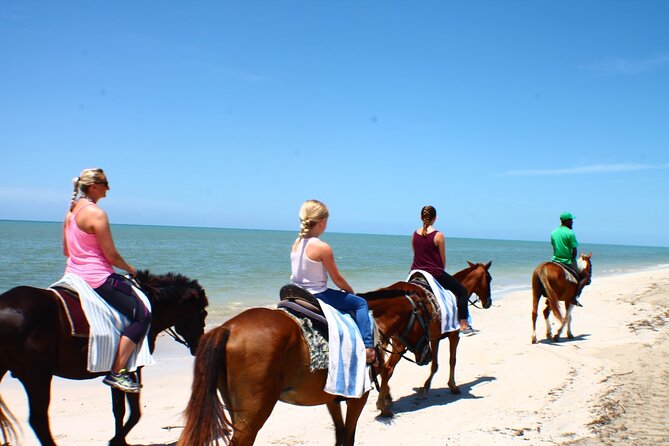 Horse Back riding Excursion - Key points to know before you book