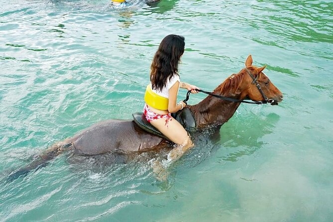 Horse Back riding Excursion - Riding through Mammee Bay rainforest