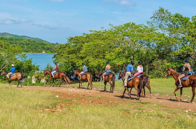 Horseback Ride and Swim from Ocho Rios - Timing is the biggest point to clarify