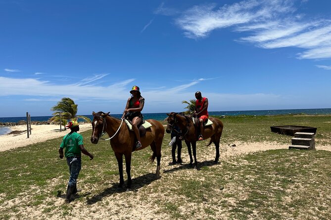 Horseback Ride and Swim Guided Tour from Montego Bay - Transport, Water, Helmets, and Other Practical Details