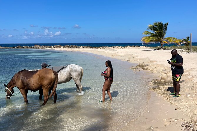 Horseback Ride and Swim Guided Tour from Montego Bay - Weather and Cancellation Rules
