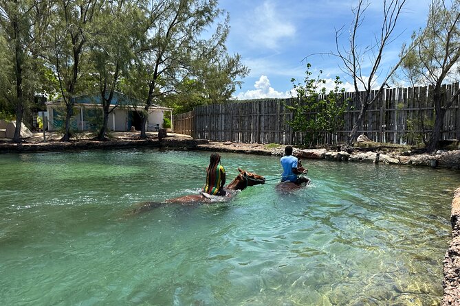 Horseback Ride and Swim Guided Tour from Montego Bay - Who Will Like This Horseback Adventure