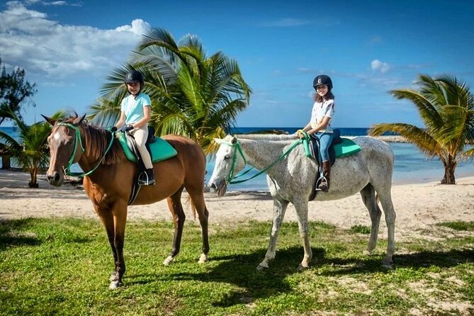 Horseback Ride and Swim Jamaica - The horses and the people guiding the ride