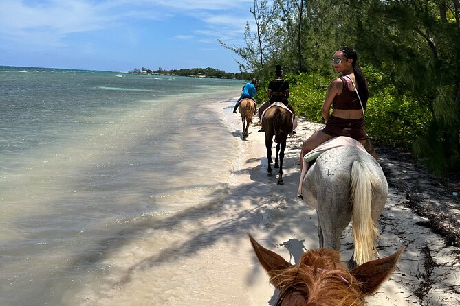 Horseback Ride and Swim Tour In Montego Bay - From Montego Bay pickup to Sand N’ Saddle