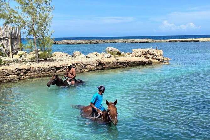 Horseback Ride and Swim Tour In Montego Bay - The horse swim, and the limits of the water time