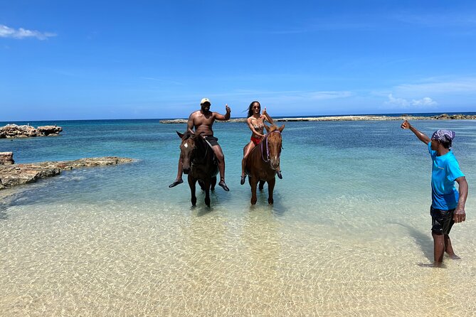 Horseback Ride and Swim Tour In Montego Bay - Private vehicle, shared stable experience