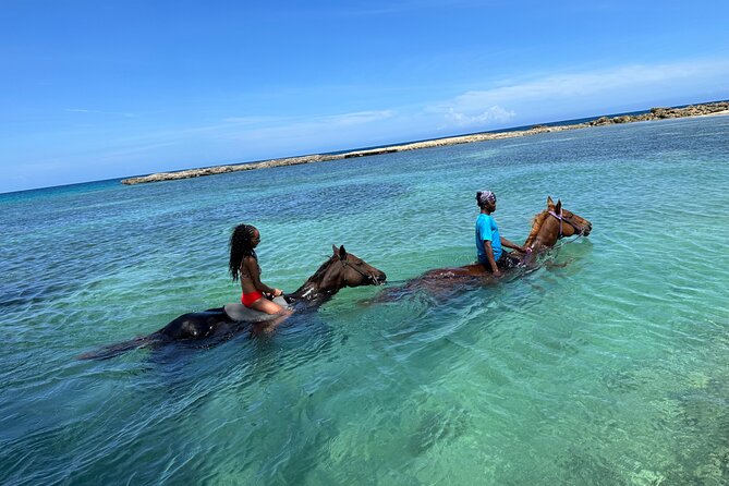 Horseback Ride and Swim Tour In Montego Bay - One hour through farmland and along the beach