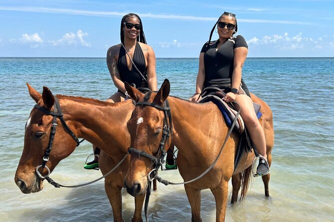 Horseback Ride , Dunns River Falls & Blue Hole From Montego Bay - The Montego Bay Drive and Daily Timing