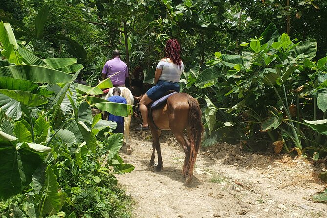 Horseback 'Ride N Swim' & Dunns River Falls from Montego Bay - From Montego Bay to a Ride in the Caribbean