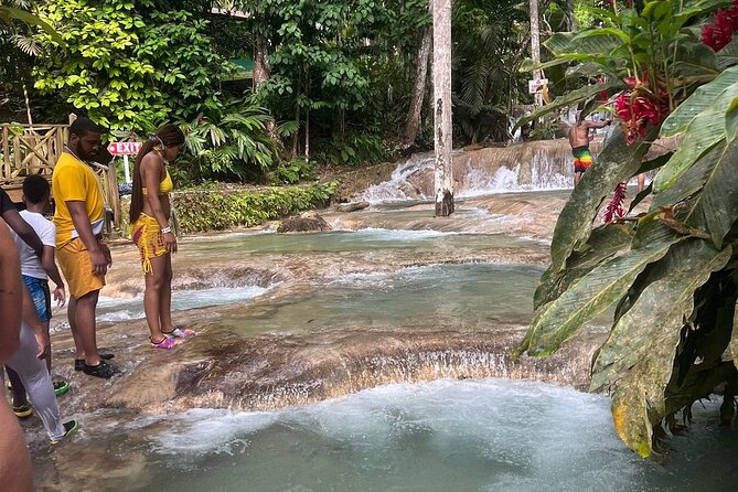 Horseback 'Ride N Swim' & Dunns River Falls from Montego Bay - Who Will Enjoy This Best