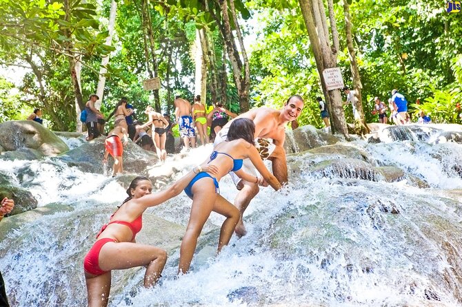 Horseback 'Ride N Swim' & Dunns River Falls from Montego Bay - Should You Book This Jamaican Half-Day?