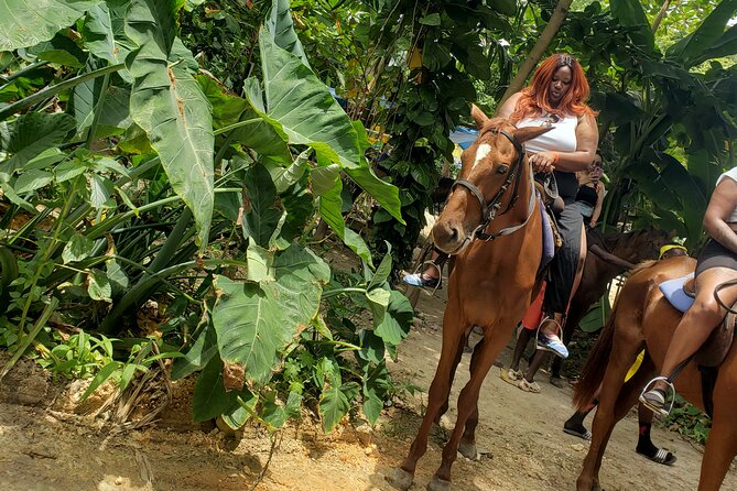 Horseback 'Ride N Swim' & Dunns River Falls from Montego Bay - Dunns River Falls in About One Hour