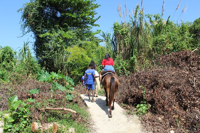 Horseback Ride & Swim Jamaica/Montego Bay - Arriving at the beach and entering the Caribbean