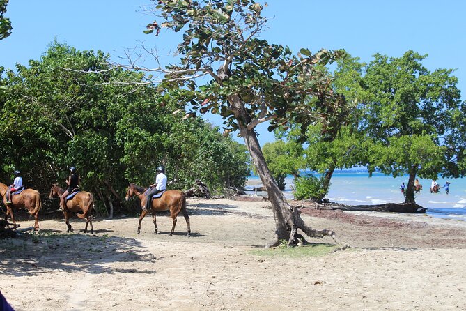 Horseback Ride & Swim Jamaica/Montego Bay - What the $150 price really covers