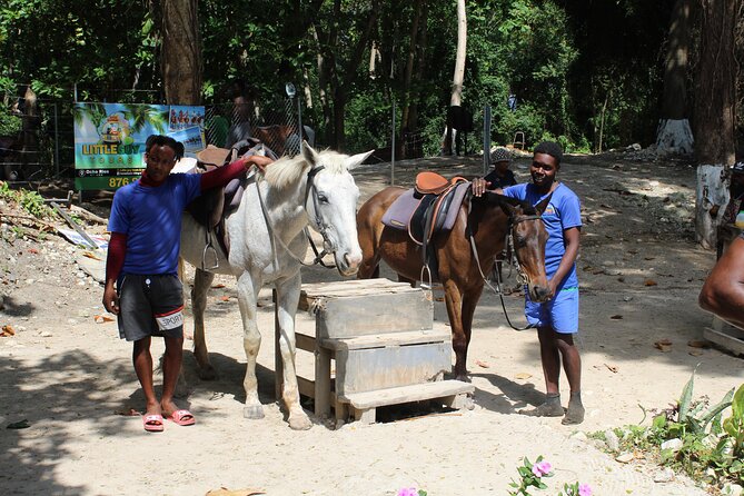 Horseback Ride & Swim Jamaica/Montego Bay - Safety, comfort, and the one serious warning