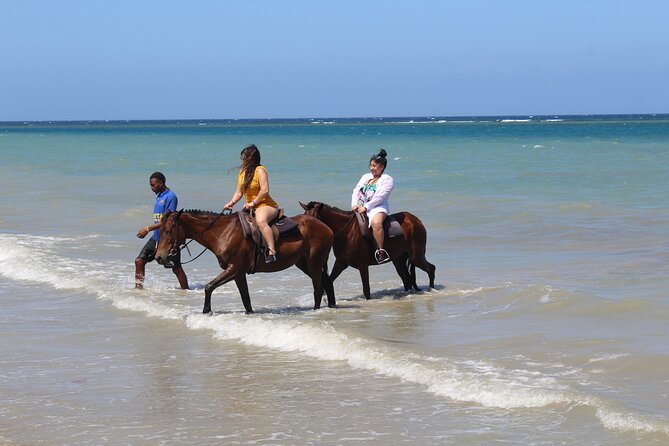 Horseback Ride & Swim Jamaica/Montego Bay - Booking details that matter
