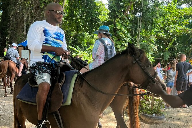 Horseback Riding Adventure in Jamaica - Who should book this experience?