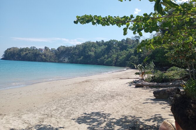 Horseback riding, Blue hole or Dunn's River Combo - Fitness, clothing, and the small details that matter