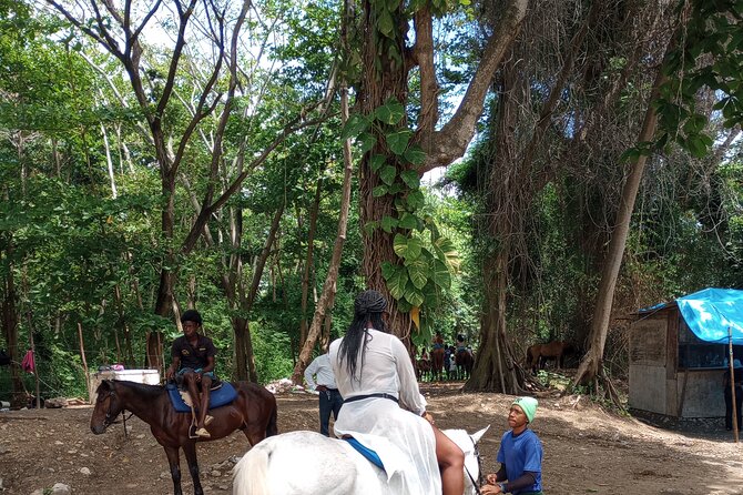 Horseback riding, Blue hole or Dunn's River Combo - Blue Hole for rope swings, rock climbs, and pools