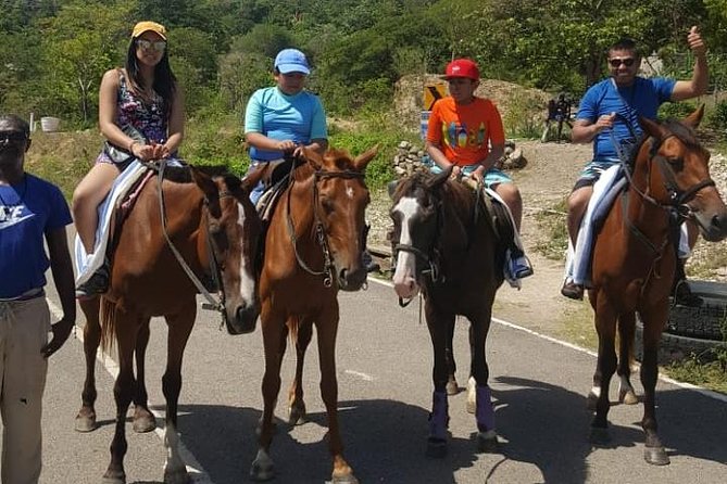 Horseback Riding from Montego Bay - What the $200 price really covers