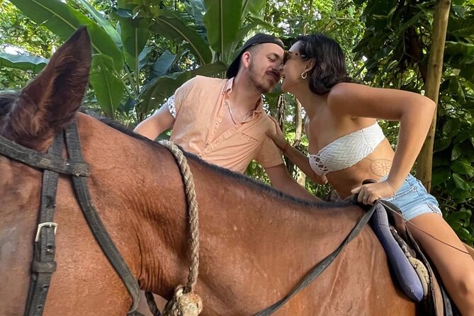 Horseback Riding In The Ocean from Montego Bay Private Transfer - Booking details, weather, and cancellation