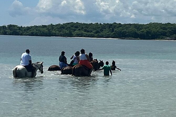 Horseback Riding in the Ocean from Ocho Rios & Runaway Bay - A nature walk before you reach the beach