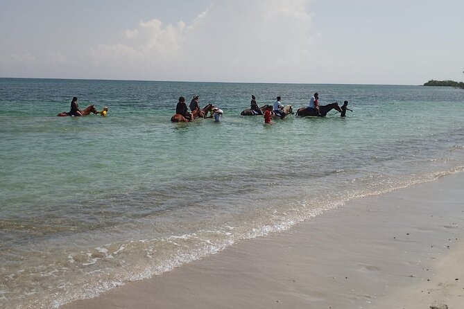 Horseback Riding plus Dunns River Falls Combo Private Tour - Who should book this outing?