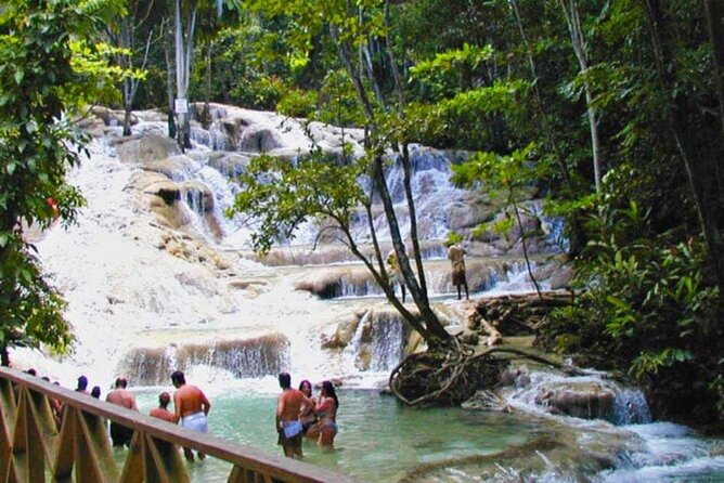 Horseback Riding plus Dunns River Falls Combo Private Tour - The horseback ride at St. Ann’s Bay