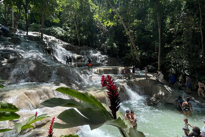 Horseback Riding/Swimming and Dunn's River from Ocho Rios - Why the combination works