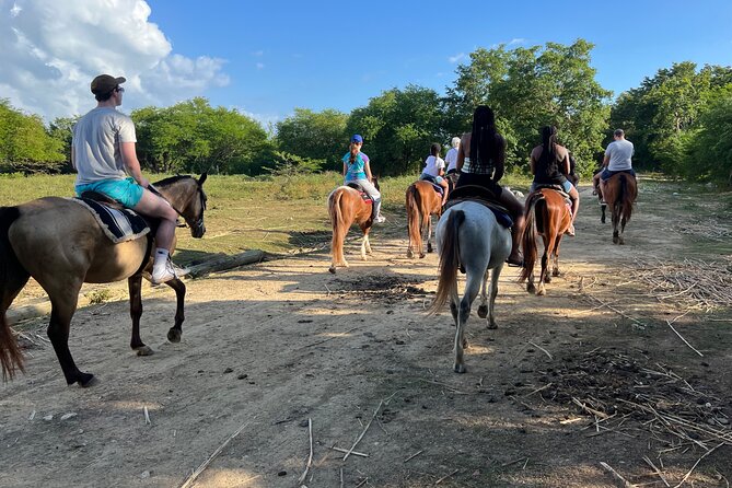 Horseback “SPECIAL”- Negril’s Beach Ride N’ Swim with Free photos/videos - Free photos and videos with your own phone
