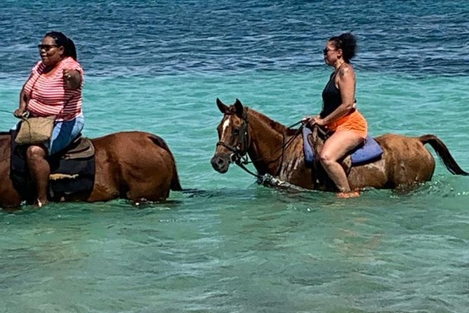 Hour Horseback Riding Guided Tour from Runaway Bay - Leaving Runaway Bay for Rural Jamaica