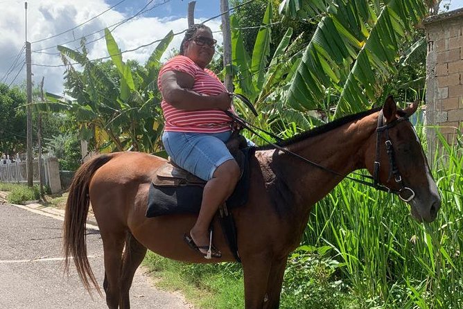 Hour Horseback Riding Guided Tour from Runaway Bay - Meeting Your Horse and Guide