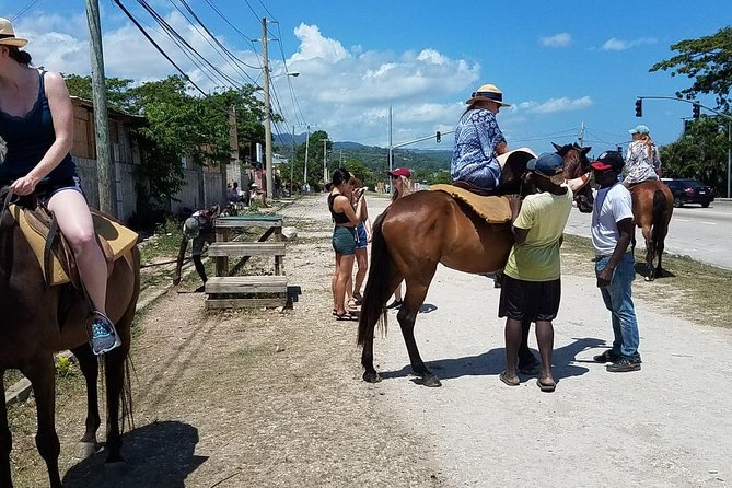 Hour Horseback Riding Guided Tour from Runaway Bay - A Possible River Stop
