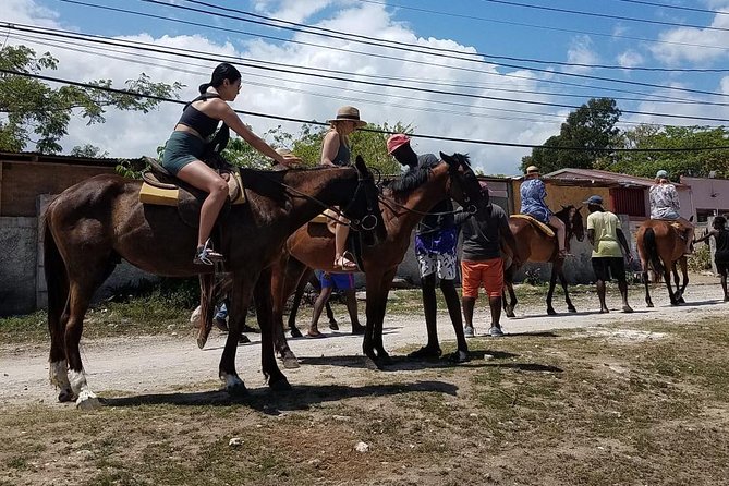 Hour Horseback Riding Guided Tour from Runaway Bay - Comfort, Safety, and the Rustic Setting