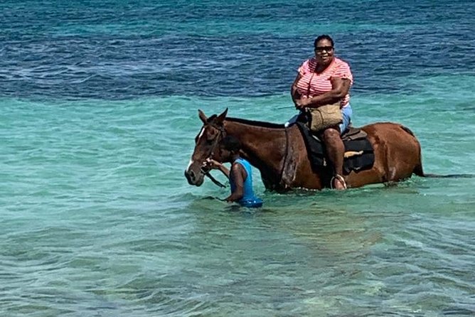 Hour Horseback Riding Guided Tour from Runaway Bay - The Coastal Ride and Optional Ocean Swim