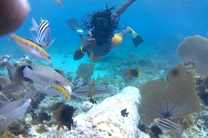 Incredible Negril Guided Snorkeling To Reef, Anchor, and Cannon - Key things to know before you book