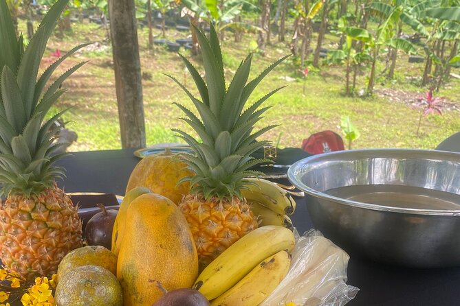Jamaica Farm Private Dispensary Tour Montego Bay - What $130 per person gets you