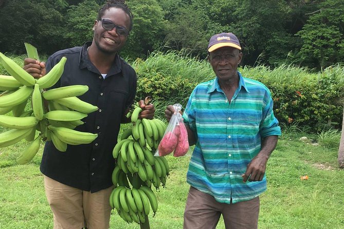 Jamaica Foodie and Cultural Experience & Konoko Falls Ocho Rios - Konoko Falls, gardens, and the chance to climb