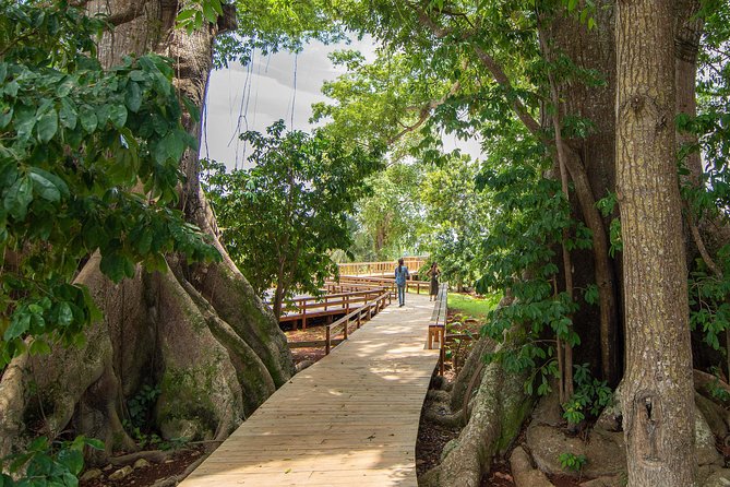 Jamaica Giants sculpture park, art galleries - The vintage house gallery begins the visit
