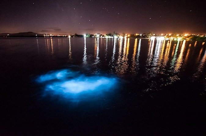 Jamaica Luminous Lagoon Private Tour with Transportation - Who will get the most from this experience