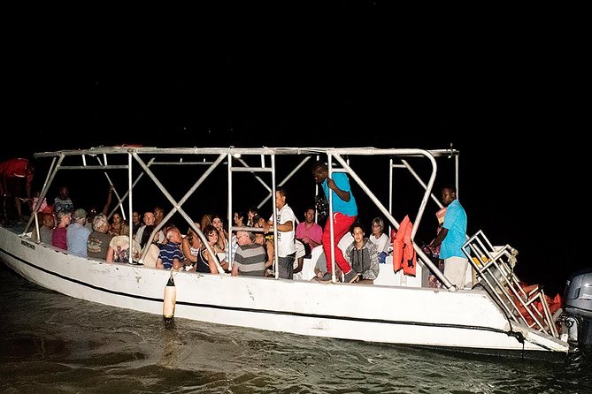 Jamaica Super Saver: Montego Bay & Rose Hall plus Mystic Lagoon Night Cruise - Transport, traffic, and the six-hour schedule