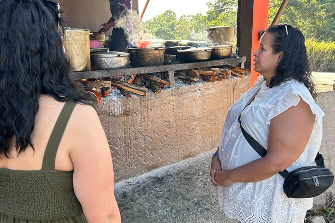 Jamaican Countryside Food Tasting Tour from Montego Bay - Who should book this food outing
