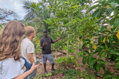 Jamaican Roots Tropical Farm Tour – Taste & Explore (Negril) 2hr