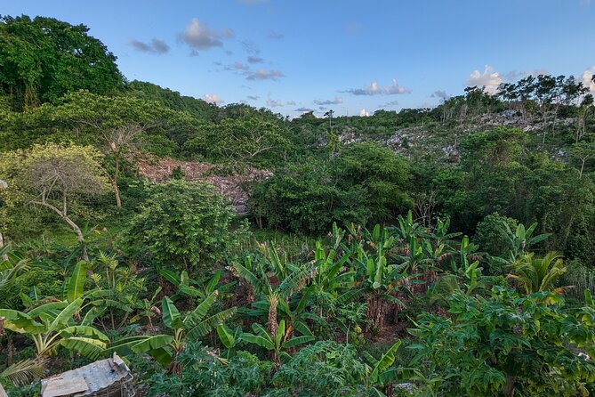 Jamaican Roots Tropical Farm Tour - Taste & Explore (Negril) 2hr - What the $98 price buys you