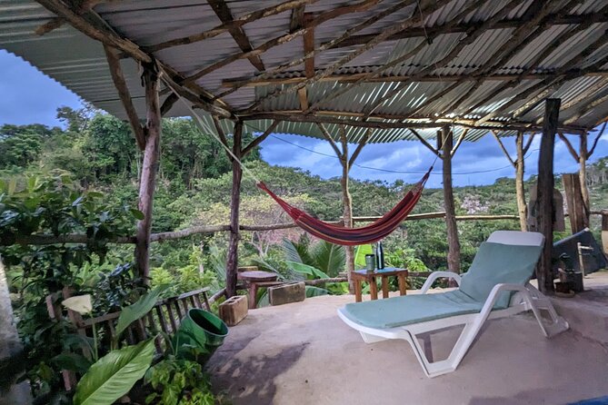 Jamaican Roots Tropical Farm Tour - Taste & Explore (Negril) 2hr - Pickup from Negril and the one logistics concern