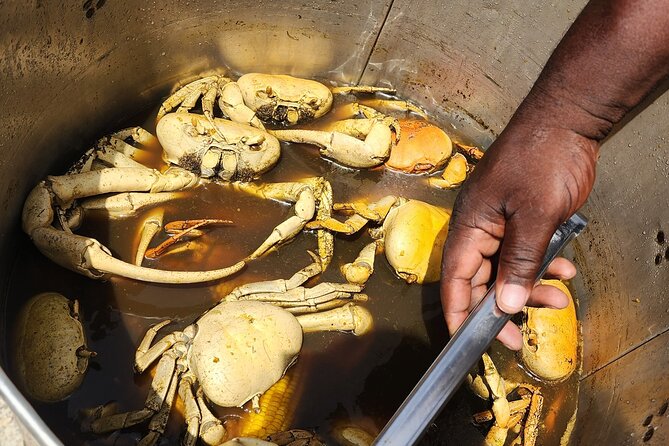 Jamaican Street Food and Rum Tasting Private Tour - Is $90 per person a fair price?