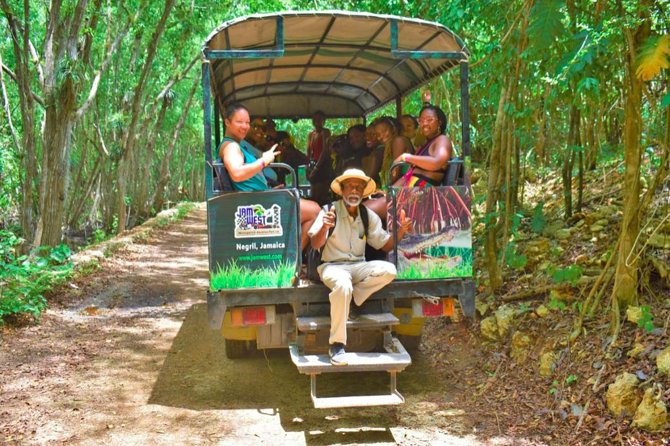Jamwest Negril Zipline and JamCulture Combo - Seven lines above the Jamaican forest