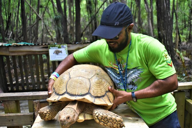 Jamwest Off-Road ATV Adventure & JamCulture Tour Combo in Negril - Rainforest, grassland, and the coastal stop