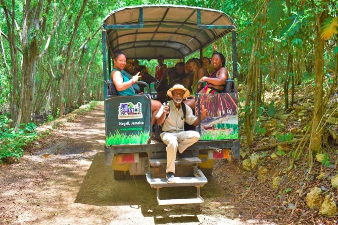 Jamwest: Zipline, Cultural Ride, and ATV Off-Road Adventure - Starting with the Reggae Zip-Line Challenge
