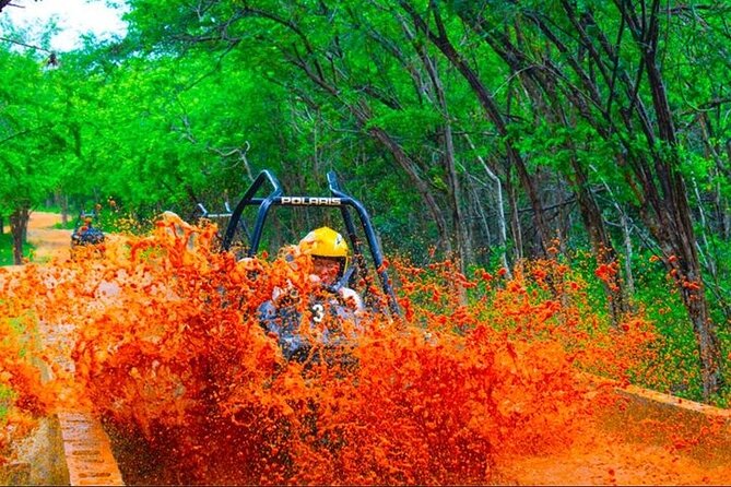 Jamwest: Zipline, Cultural Ride, and ATV Off-Road Adventure - Who will enjoy Jamwest most